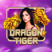 Dragon Tiger on fox game log