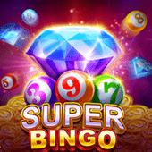 Super Bingo hot fox game log game