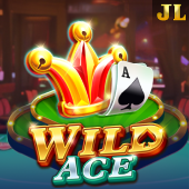 Wild Ace hot fox game log game